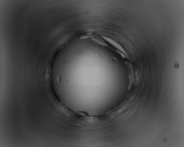 X0000102820424200809081135