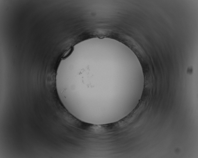 X0000102820425200809081135