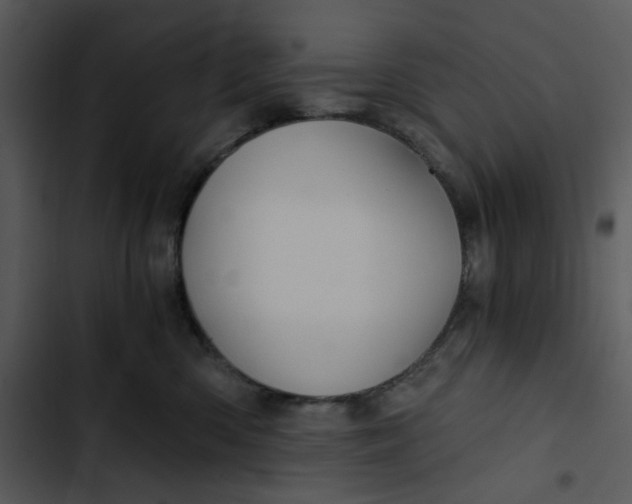 X0000102820426200809081135