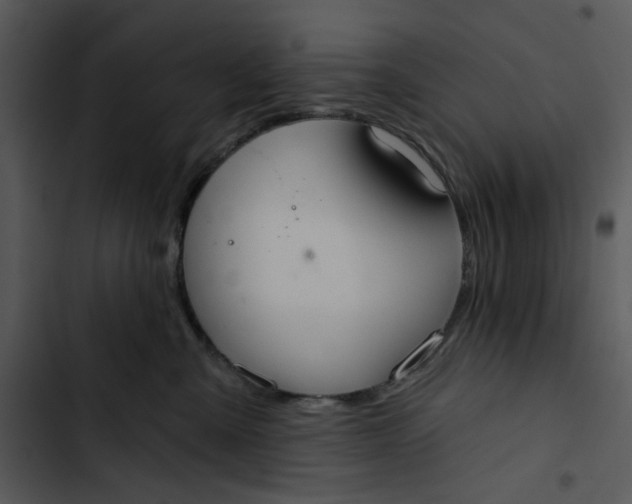 X0000102820427200809081135