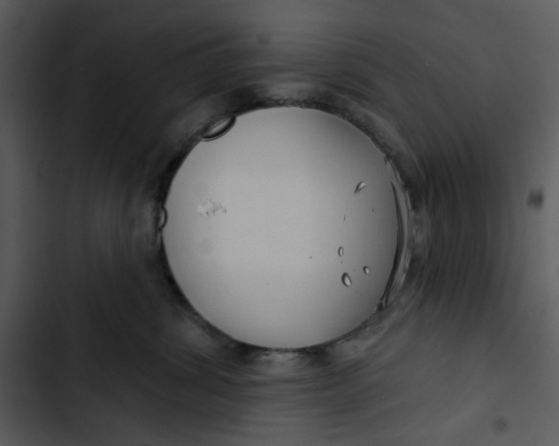 X0000102820428200809081135