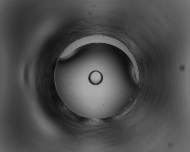 X0000102820429200809081135