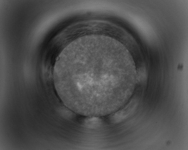 X0000102820431200809081135