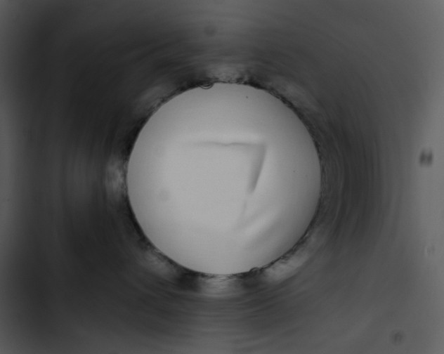 X0000102820432200809081135