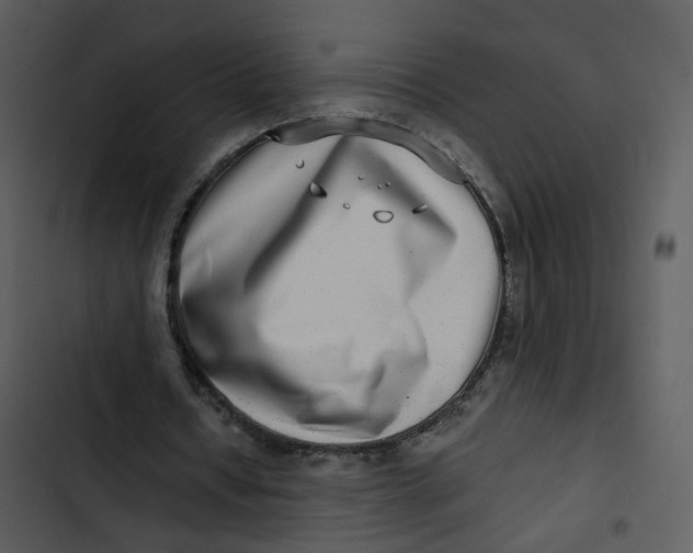 X0000102820434200809081134