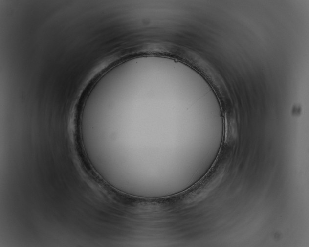 X0000102820435200809081134