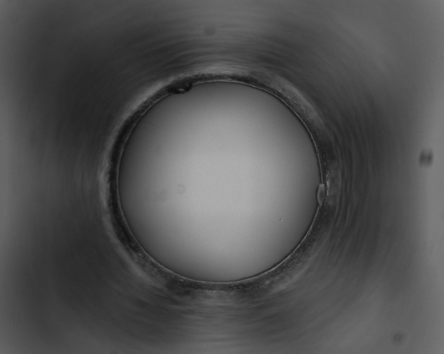 X0000102820436200809081134