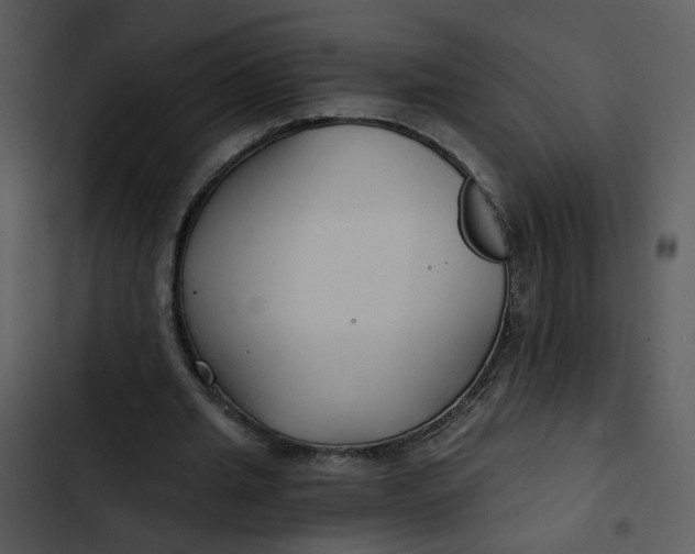 X0000102820437200809081134