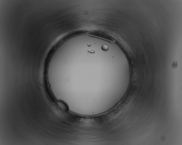 X0000102820440200809081134