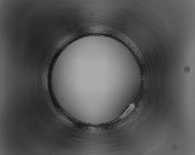 X0000102820442200809081135