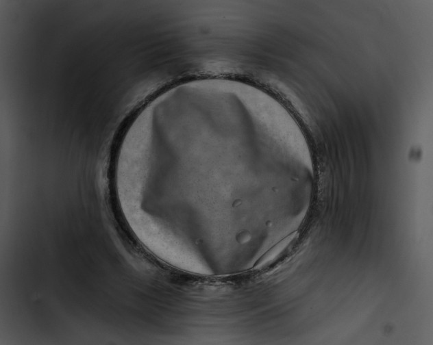 X0000102820443200809081135