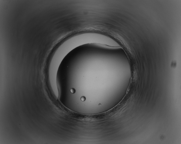 X0000102820444200809081135