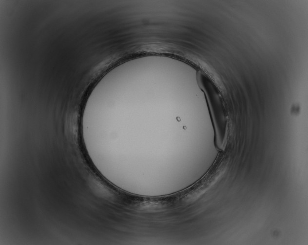 X0000102820445200809081135