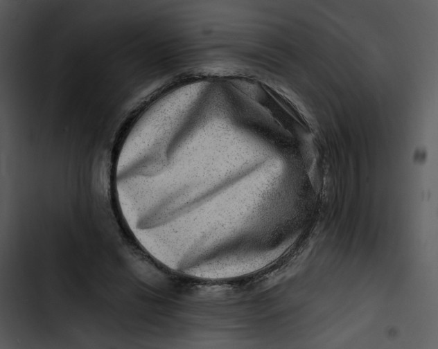 X0000102820446200809081135