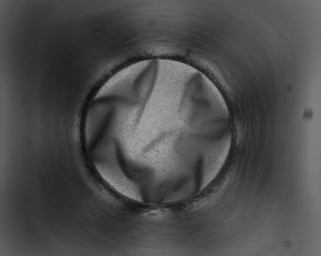 X0000102820447200809081135