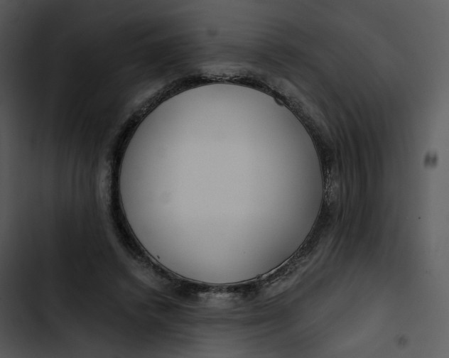 X0000102820448200809081135