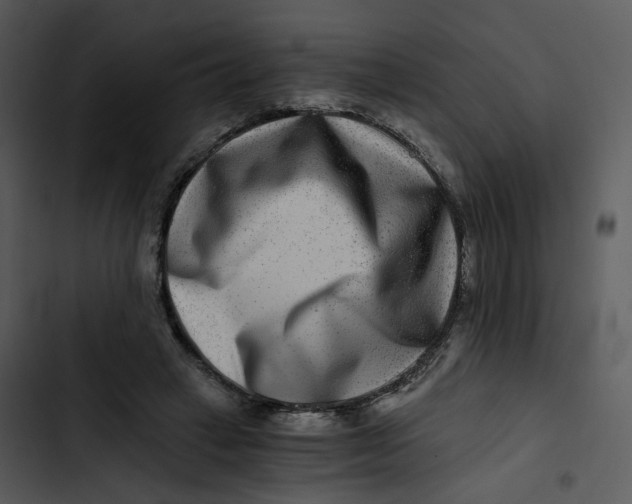 X0000102820449200809081135