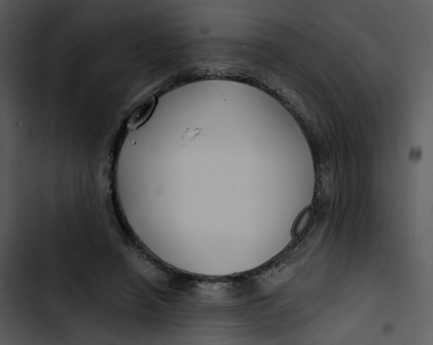 X0000102820450200809081135