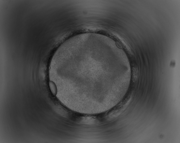 X0000102820451200809081135