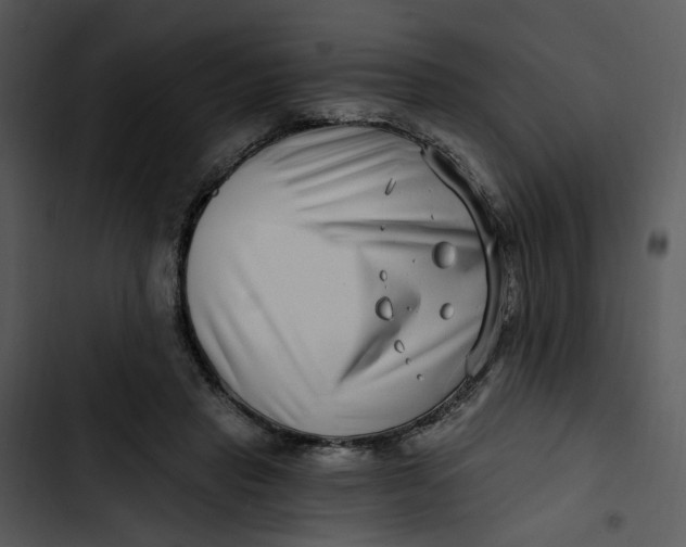 X0000102820453200809081135