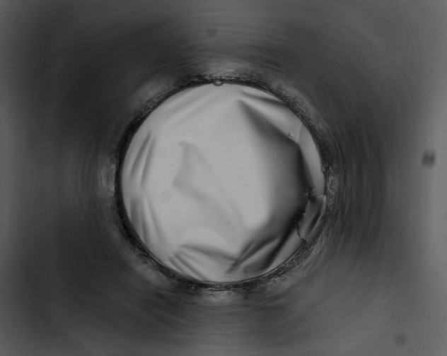 X0000102820454200809081135