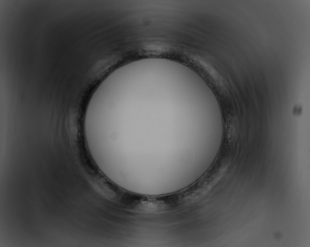 X0000102820455200809081135