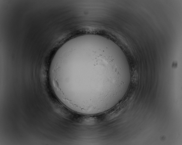 X0000102820456200809081135