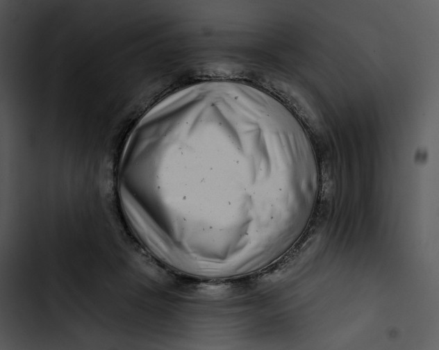 X0000102820457200809081135