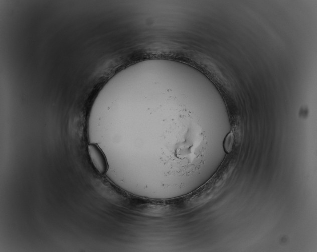 X0000102820458200809081135