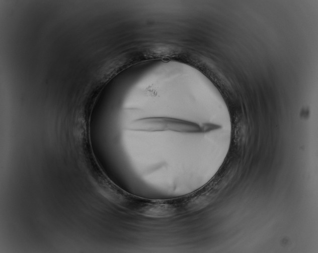 X0000102820459200809081135