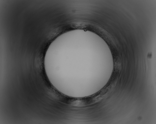 X0000102820460200809081135