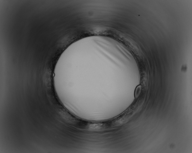 X0000102820461200809081135