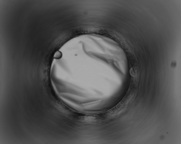 X0000102820462200809081135