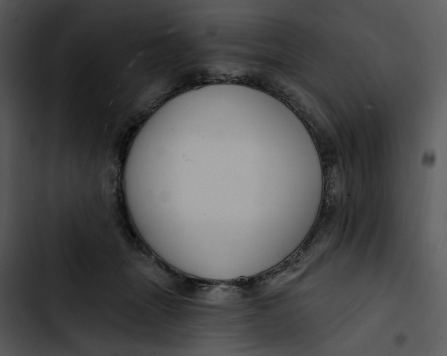 X0000102820463200809081135