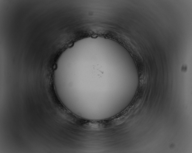 X0000102820464200809081135