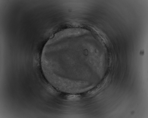 X0000102820465200809081135