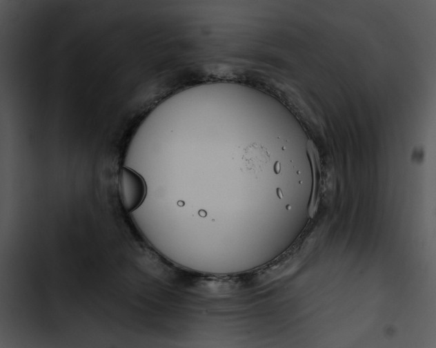 X0000102820466200809081135