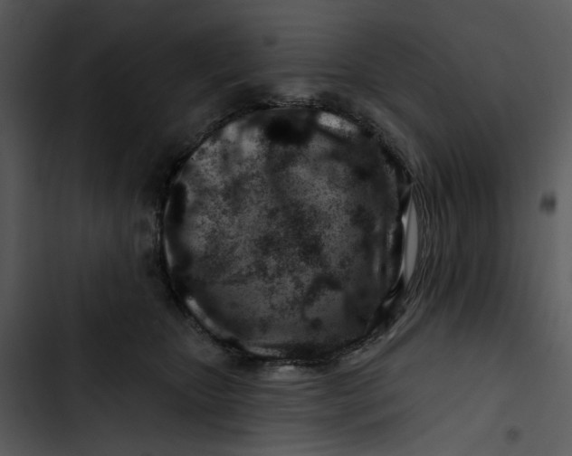 X0000102820467200809081135