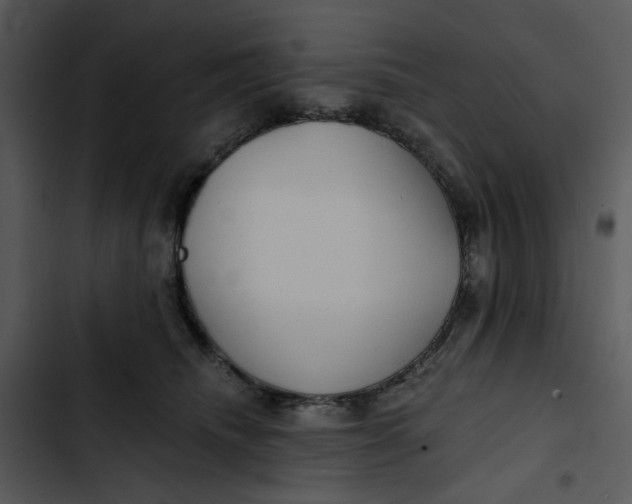 X0000102820468200809081135