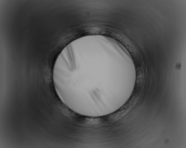 X0000102820469200809081135