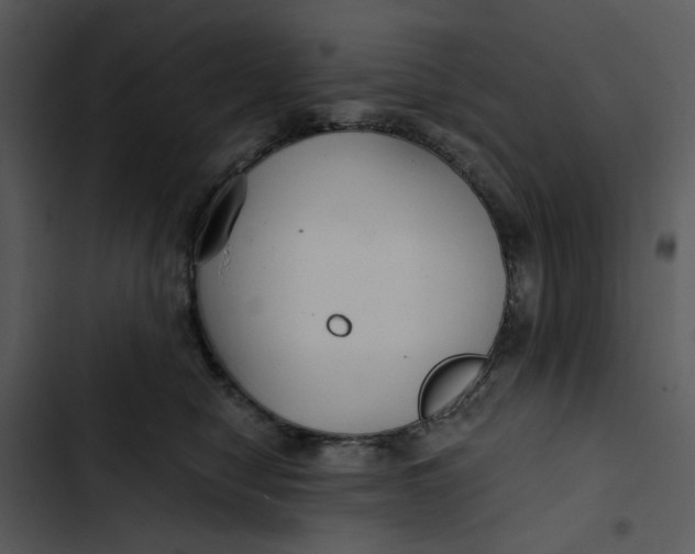 X0000102820470200809081135