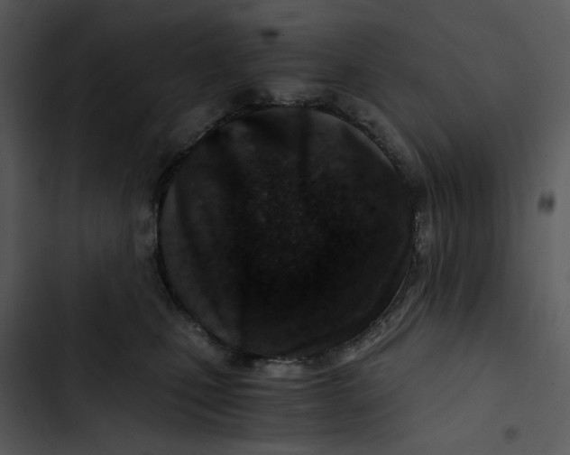 X0000102820471200809081135