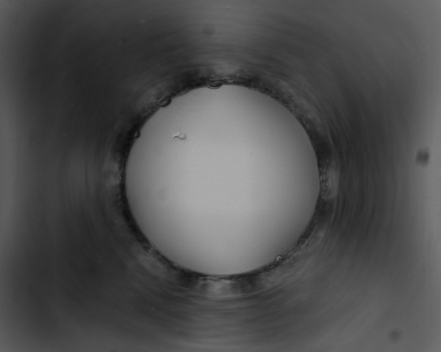 X0000102820472200809081135