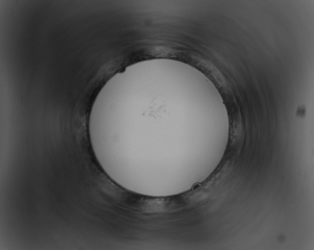 X0000102820473200809081135