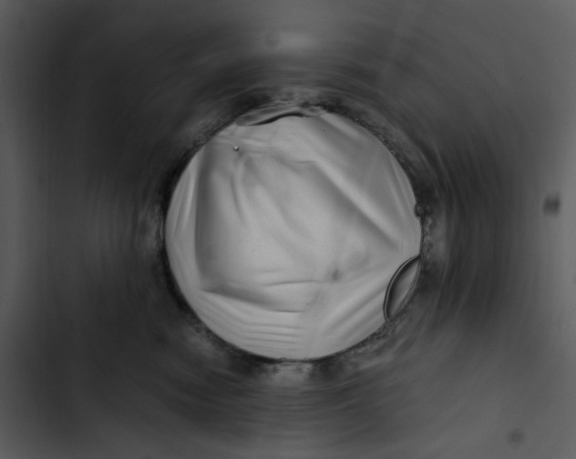 X0000102820474200809081135