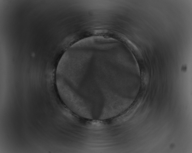 X0000102820475200809081135