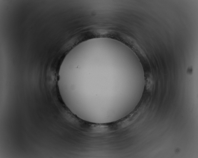 X0000102820476200809081135