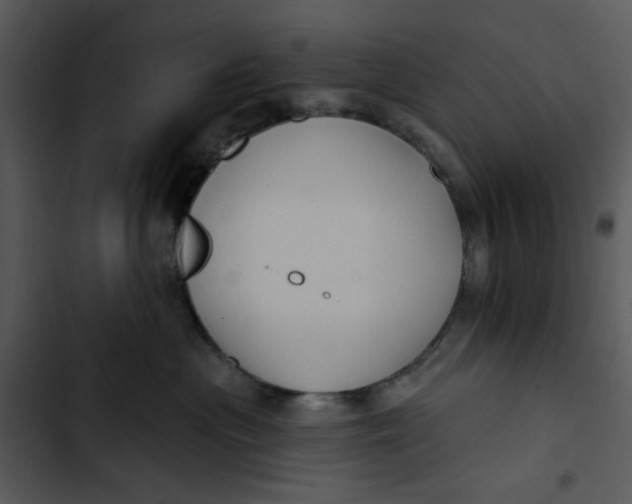 X0000102820477200809081135