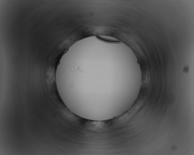 X0000102820478200809081135