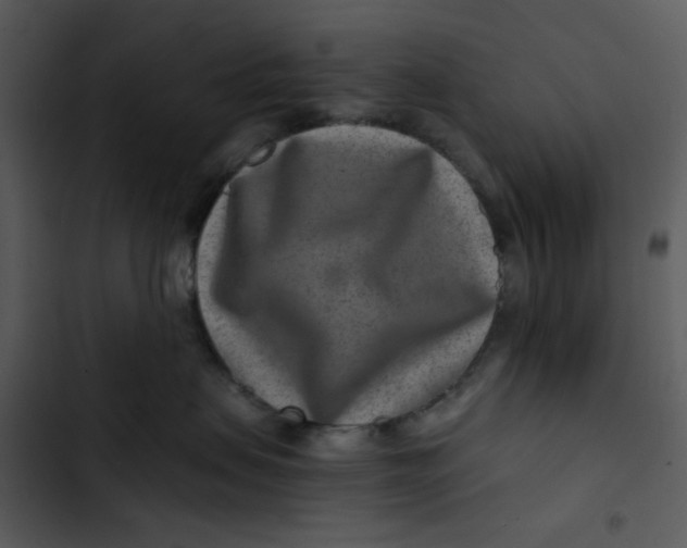 X0000102820479200809081135